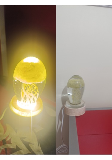 Ahşap Altlıklı Sarı Renk Deniz Anası Görünümlü Işıklı Küre