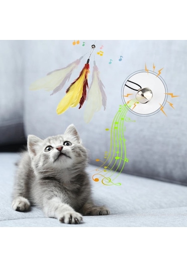 Büro Ev Evcil Hayvanı İçin Çift Taraf Nemli Tüy Tarama Tarak Fırçası