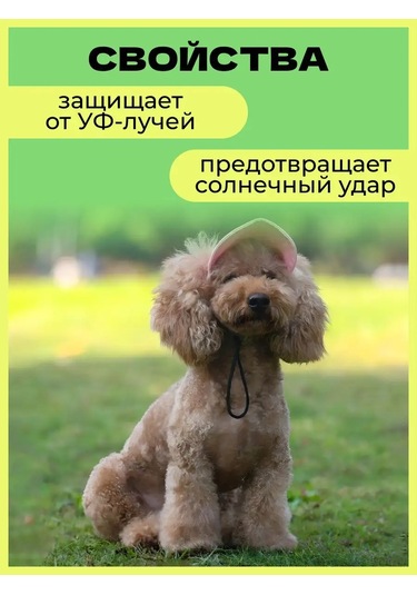 Küçük Ve Orta Irk Köpekler İçin Şapka / Köpek Şapkası 170106808