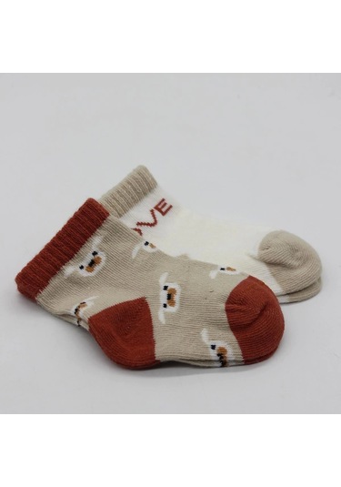 Bistyle Love Dog Penye Soket Çorap 2'li Bs10118 Bej Bej
