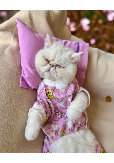 Toad Teddy Penye Kedi Tulum Ve Yastık Takım Uyku Seti