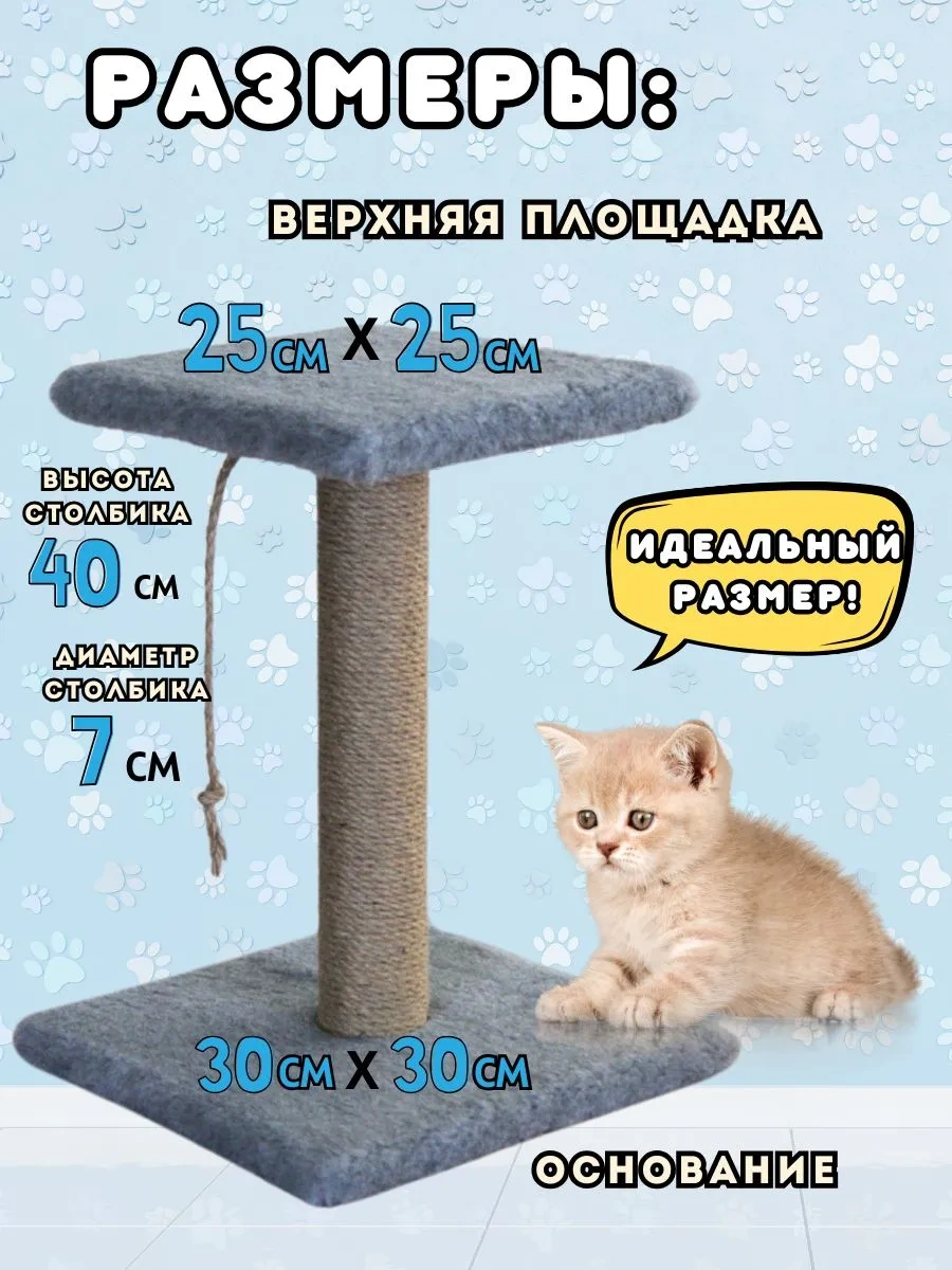 Mr Cat Yavru Kediler İçin Tırmalama Direği 416470854