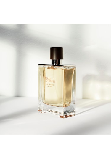 Hermes Terre D'Hermes Erkek Parfüm EDT 200 ML