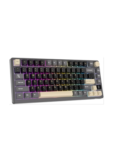 Royal Kludge M75 RKM75-PT-KY 75% Kablosuz Us Gaming Mekanik Klavye