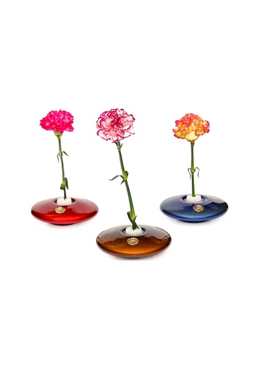 Flora Design-elegance Kırmızı Cam Vazo Kırmızı