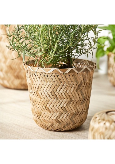 Bambu Saksı, Bambu, 15 Cm 15 Cmx28 Cm 1 Kg