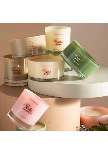 Mudo Home Bergamot Garden Yatay Mum Yeşil