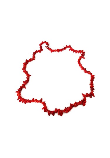 Kuru Arnavut Cin Biberi 1 Bağ