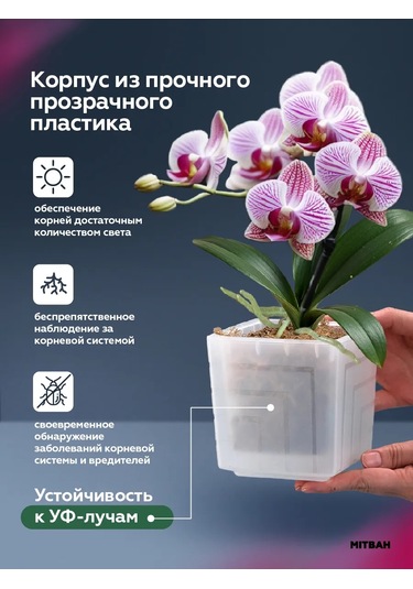 Mıtbah Şeffaf Kare Orkide Saksısı, 2 Adet, 1,2 L 399165392