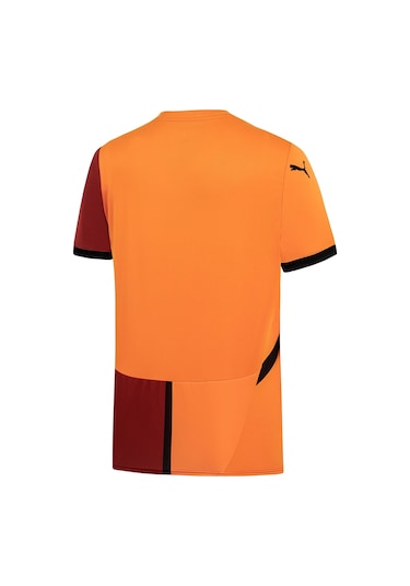 Puma Galatasaray Gsk Home Jersey Wo S 24/25 Erkek Forma-kırmızı Kırmızı