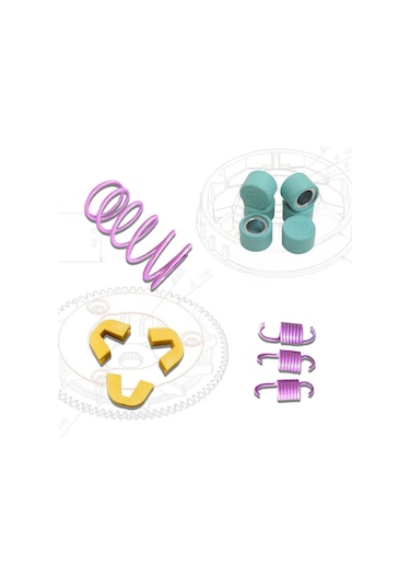 Arora Beatrix Leone Performans Paketi Baga 13.5 Gr