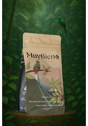 MuyBieno Guatemala Huehuetenango Öğütülmüş Filtre Kahve 250 G