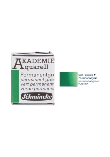 Schmincke Akademie Aquarell Suluboya 1/2 Tablet Permanent Green