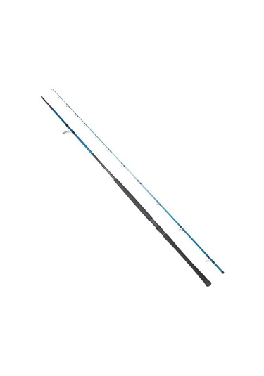 Ryujı Shore Game Fujı Kw 2p 3,10 Cm 60-150gr Shore Jıg Kamışı