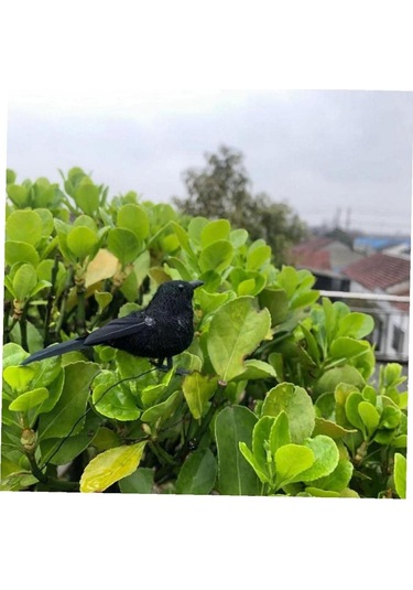 Neevoyu 6 Adet Siyah Tüylü Taklit Kargalar - Halloween Parti Dekorasyonu, İç/diş Mekan Dekoratif Figürler