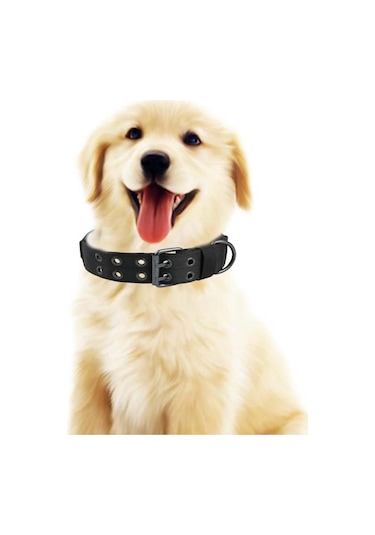 Homyl Metal Tokalı Köpek Tasması Evcil Hayvan Eğitim Yaka Siyah