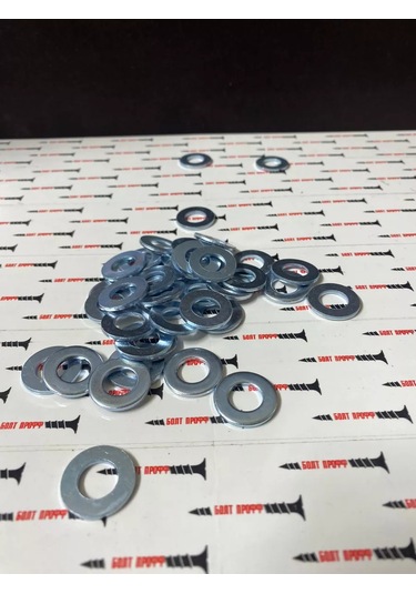 Bolt Proff M10 Düz Pul 206733761