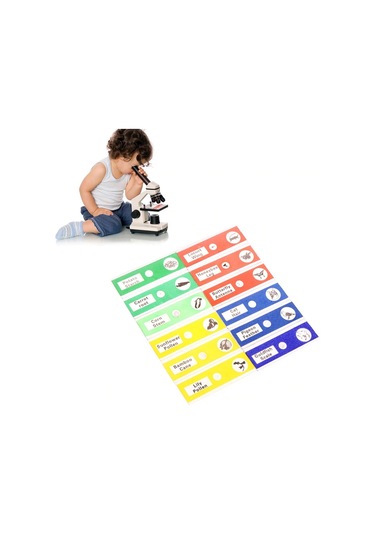 Ece 12'Li Mikroskop Slayt Seti Preparat Seti Başlangıç Karma