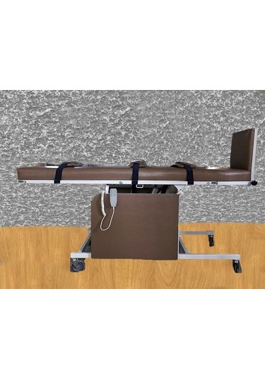 Medikaltec Tilt Table Tek Motorlu