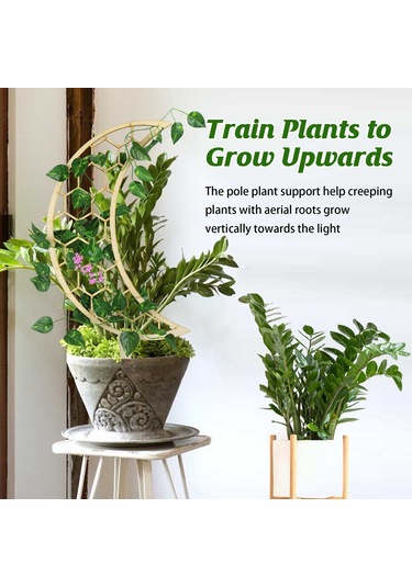 Jeehugo 3'lü Ahşap Bitki Tırmanma Aklı - Ev Bahçe Süs Bitkileri İçin Dayanıklı Tutucu, Kolay Kurulum, Çiçek Ve Saksı Bitkileri İçin Destek