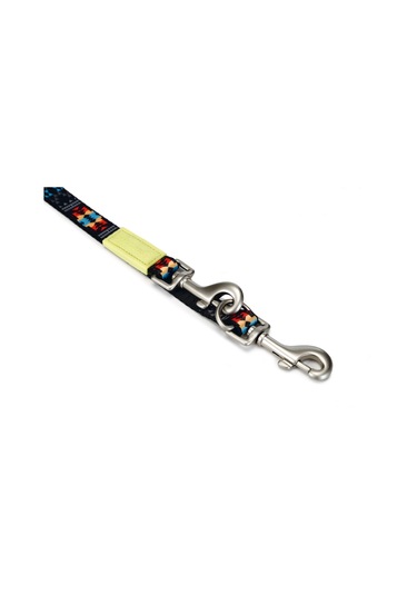 Beeztees Köpek Gezdirme Kayışı, Desenli, 200cm, 20mm Çok Renkli