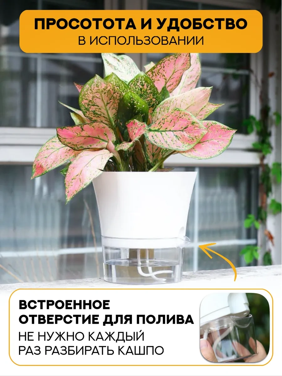 Atari Ev Bitkileri İçin Fitilli Otomatik Sulamalı Saksılar 431804619