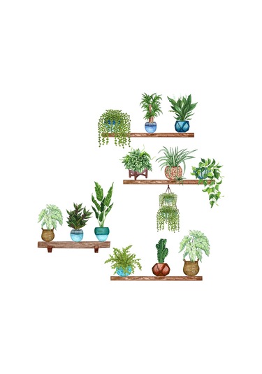 Raflı Saksılı Çiçek Tasarımlı Yapışkanlı Sticker 5060 Çok Renkli