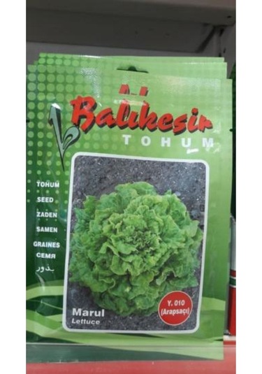 Marul Tohumu Y-010 Arapsaçı 25 Gr