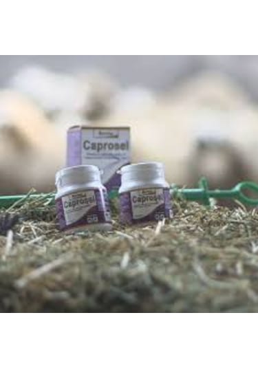 Royal İlaç Caprosel 50 Kapsül Yüksek Oranda Vitamin E, Selenyum, Kobalt