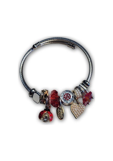 Uzel Çelik Gümüş Silver Model Inci Kalpli, Uğur Böceği Charmlı Çelik Bileklik Kırmızı