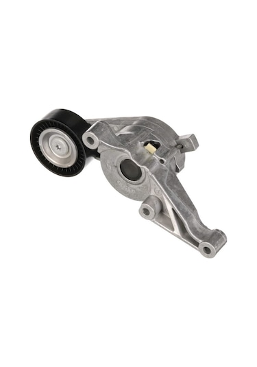 Rulman Alternatör Gergi Ca3 Golf5 03g903315c / Asp