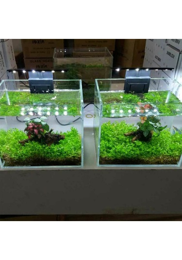 Vkemall Minimalist Siyah Akvaryum Led Işığı - 12 Ultra Parlak Led'li, Su Bitkileri Için Uygun, 5w, Avrupa Fişi, 6mm Tank Duvarı Uyumlu