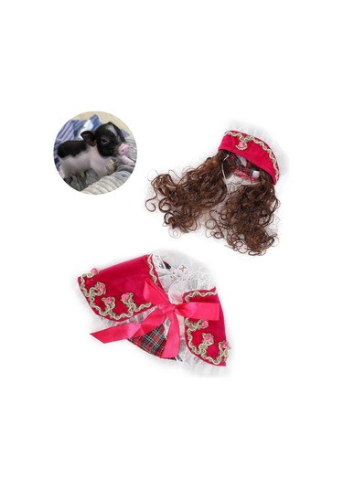 Köpekler Ve Kediler İçin Sevimli Prenses Pelerini