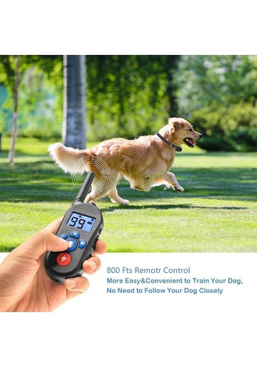 Suntek 800m Su Geçirmez Köpek Eğitim Tasması 1-adet-siyah