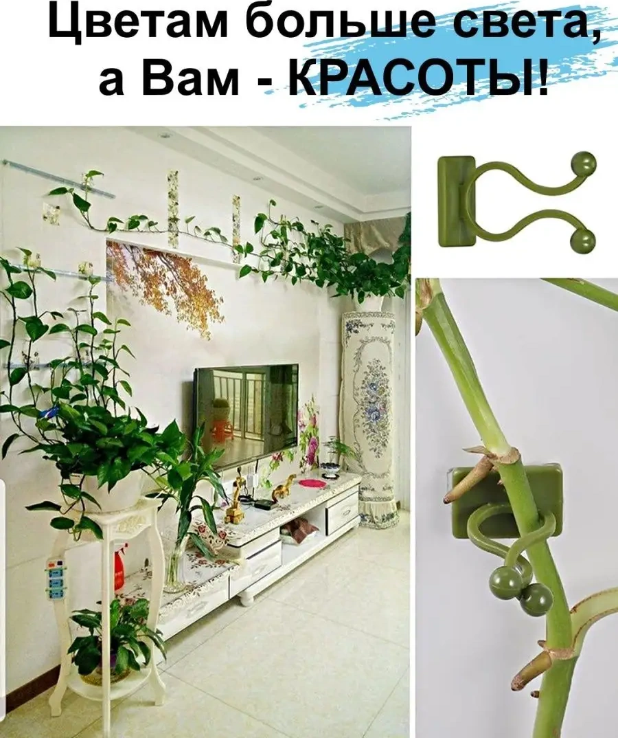 Greduha Bitki Dikimi İçin Duvar Tipi 20 Adet Klipsli Bitki Desteği 169153435