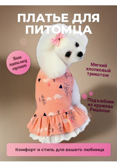 Best Golden Monkey Köpekler İçin Mercan Elbise 171019675