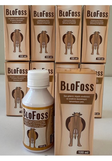 Blofoss Şurup 100ml