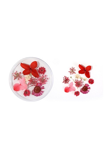 Shineyee "3d Manikür Çiçek Dekorasyon Seti - Doğal Kurutulmuş Çiçeklerle Özel Tasarımlar"