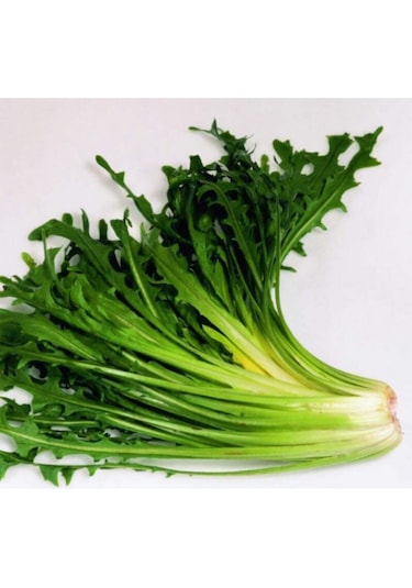 Süper Paket Nadir Hindiba Tohumu Hindibağı Tohumu 400 Adet Tohum