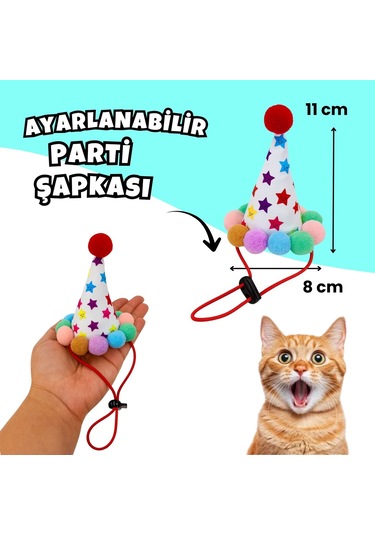 Kedi Parti Kutusu  4'lü Set