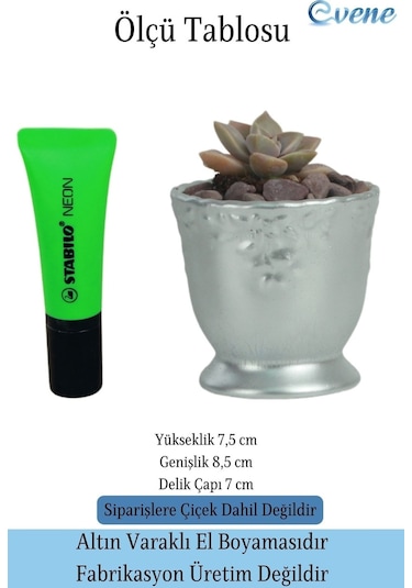 Kaktüs Saksısı Dekoratif Saksı Model 6 - Gümüş