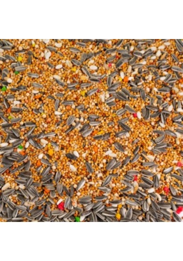 Tnt Shop T-bird Papağan Yemi 1 Kg