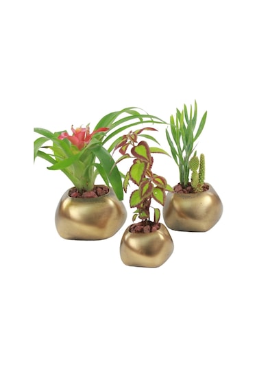 Saksı Çiçek Kaktüs Saksısı Lüx 14 Cm Elips Desenli 3'lü Set Çiçeklik - Altın Eskitme