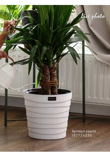 La Decoro İç Mekan Çiçekleri İçin Saksı, Çiçek Saksısı, Saksı 229893215