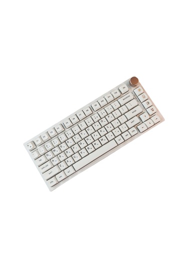 Reedark Beyaz Japonca Dilleri Desteği Pbt Klavye Anahtarı Seti - Minimalist Tasarım Diğer