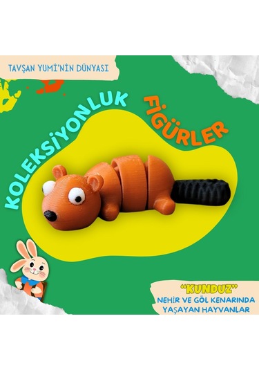 Tavşan Yumi Nehir Ve Göl Kenarında Yaşayan Hayvanlar Koleksiyonu- 4 Parça 5-7 Cm Hareketli Oyuncaklar Ve Bilgilendirici Kartlar "