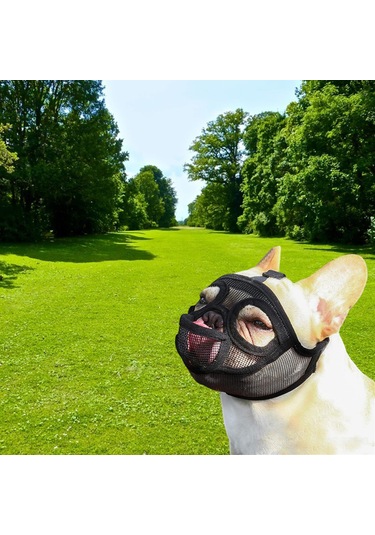 Homyl Ayarlanabilir Pet Köpek Dil-çıkartılmış-siyah-m