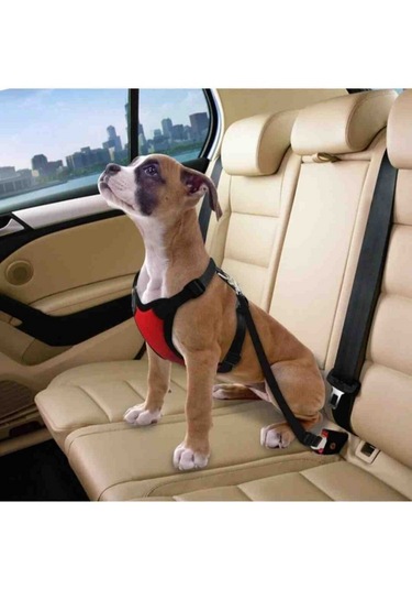 Araç Köpek Kedi Koltuk Emniyet Kemeri Evcil Hayvan Araba Metal Emniyet Halkası Tasması Tokası Siyah