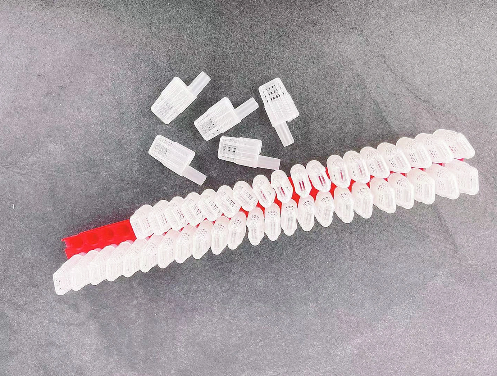 Xindoker Arı Kraliçe Taşıma Aleti, Arıcılık Ekipmanı, Kraliçe Kafesi Ve Tutucu, Yeni Ve Profesyonel Arıcılar İçin, Plastiği, Kırmızı Rengi