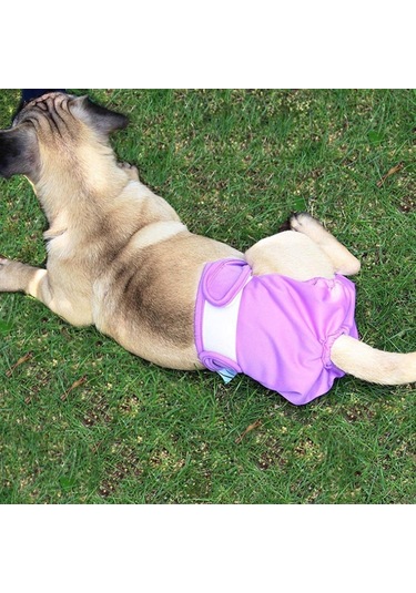 Pet Fizyolojik Pantolon Pet Su Geçirmez Külot, Boyut: S Mor